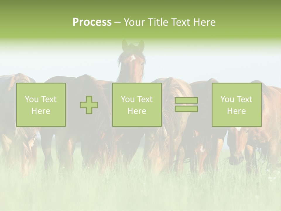 Horses Eating Grass PowerPoint Template