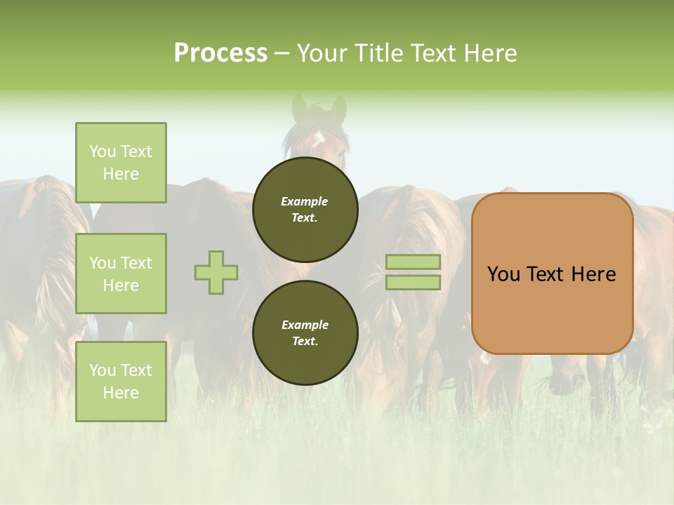 Horses Eating Grass PowerPoint Template