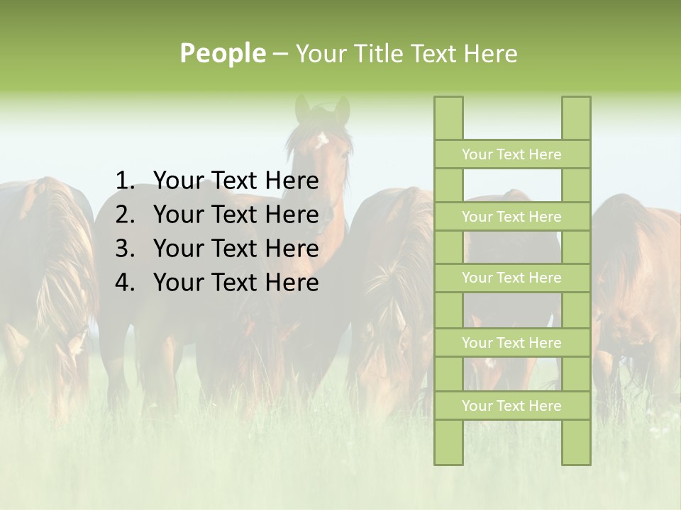 Horses Eating Grass PowerPoint Template
