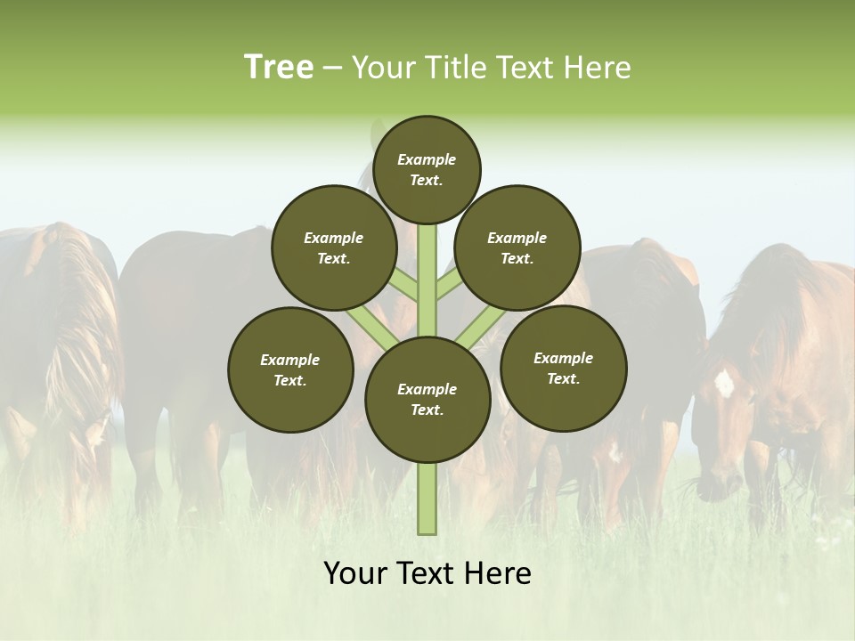 Horses Eating Grass PowerPoint Template