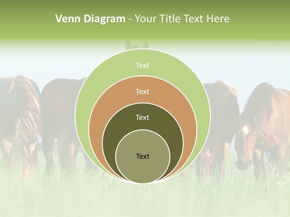 Horses Eating Grass PowerPoint Template