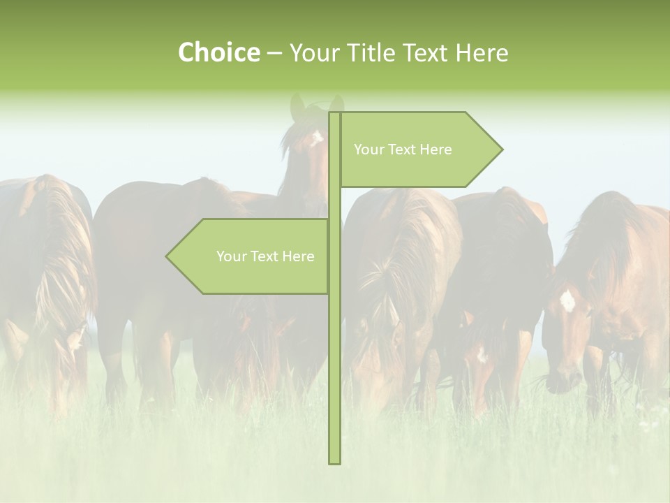 Horses Eating Grass PowerPoint Template