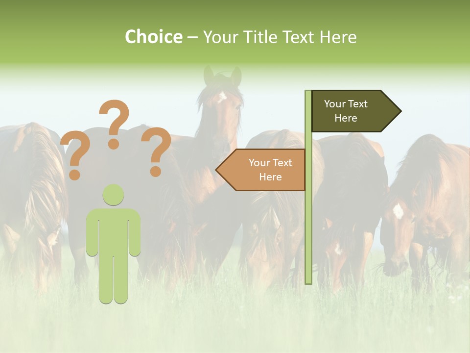 Horses Eating Grass PowerPoint Template