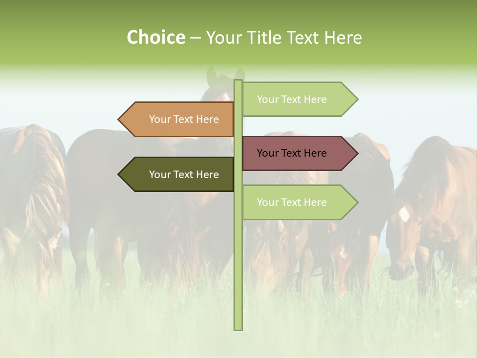 Horses Eating Grass PowerPoint Template