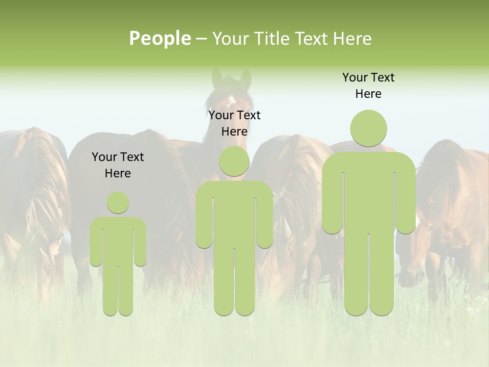 Horses Eating Grass PowerPoint Template