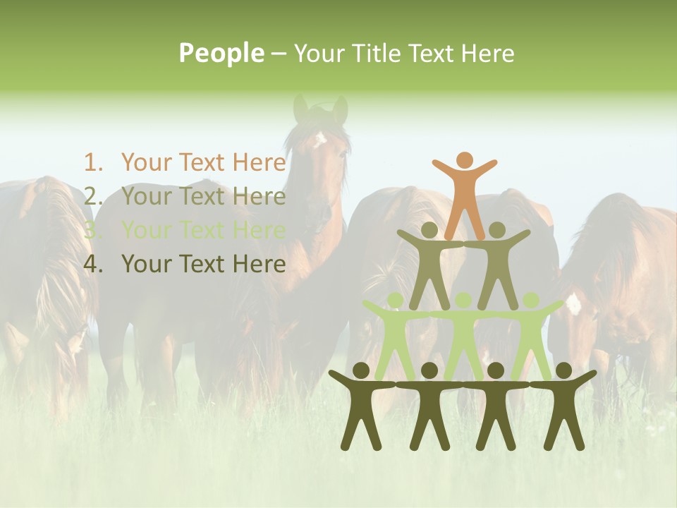 Horses Eating Grass PowerPoint Template