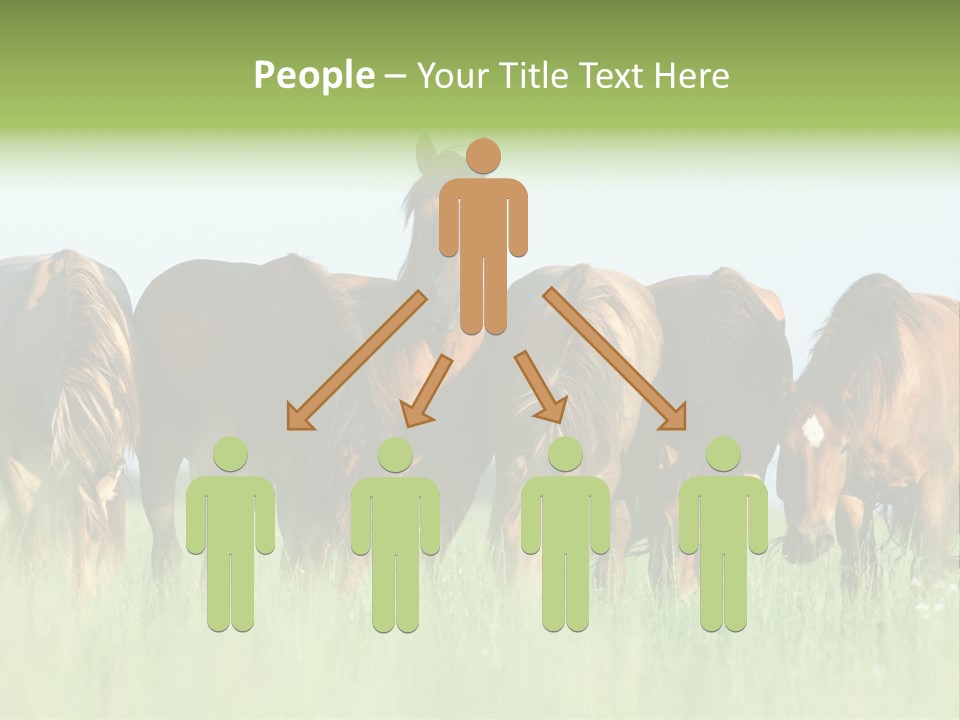 Horses Eating Grass PowerPoint Template