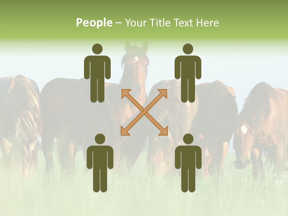 Horses Eating Grass PowerPoint Template