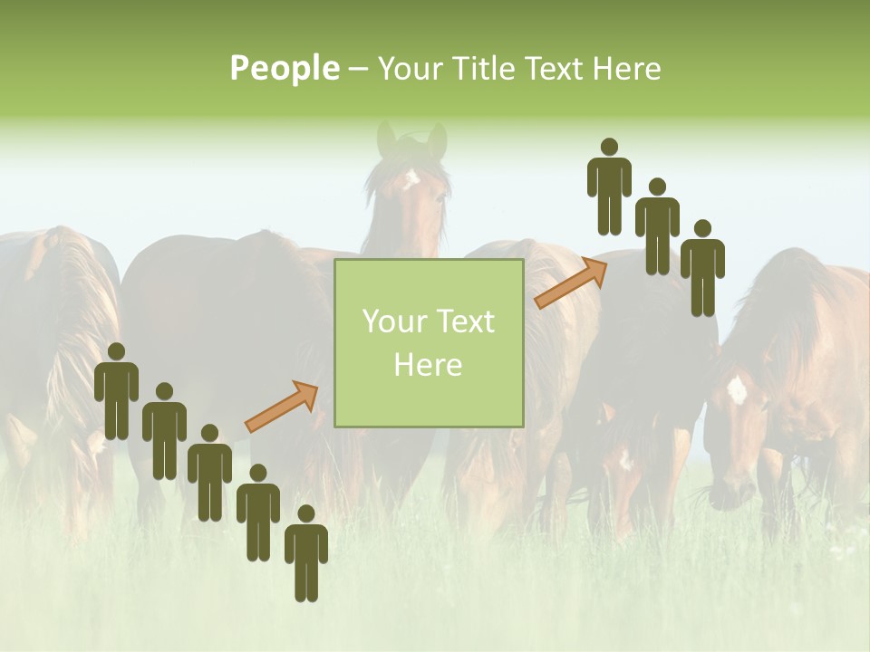 Horses Eating Grass PowerPoint Template