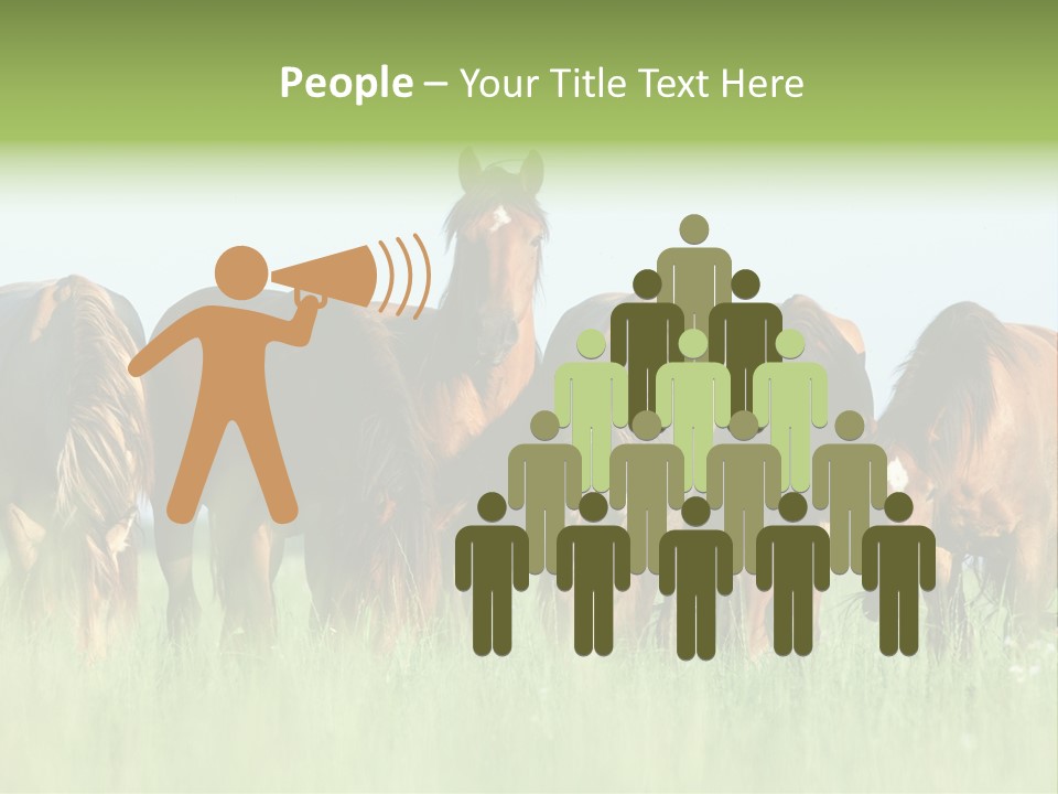 Horses Eating Grass PowerPoint Template