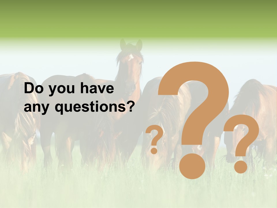 Horses Eating Grass PowerPoint Template