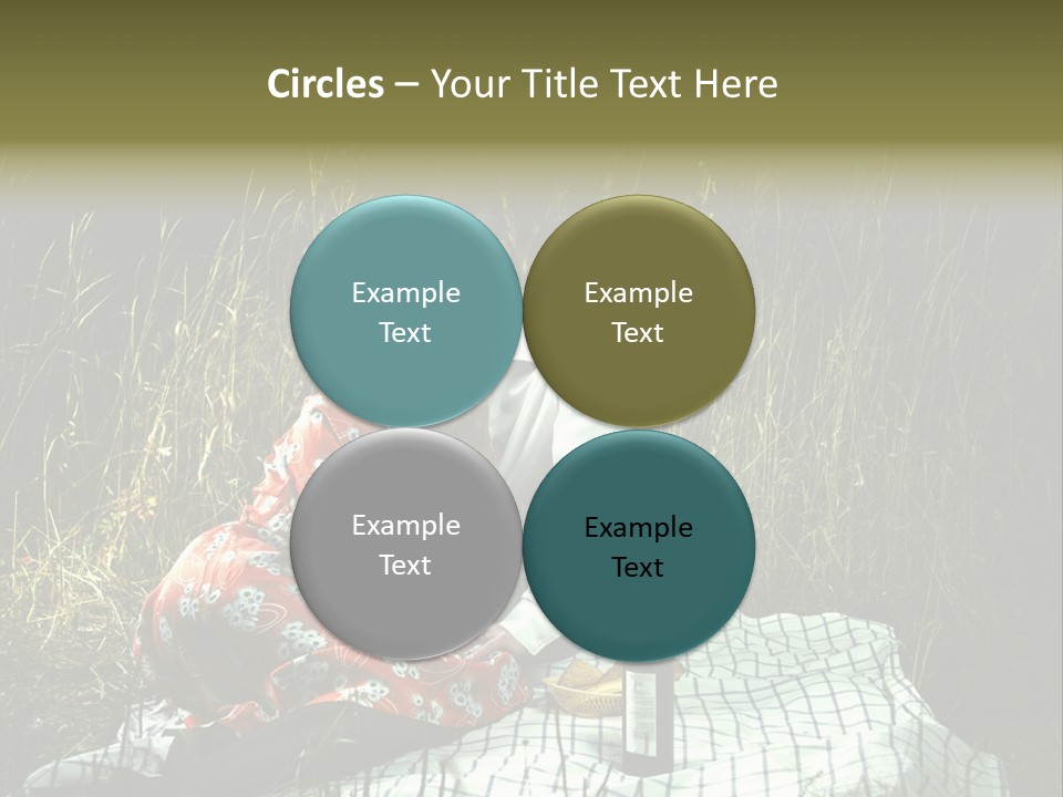 Moonlight Picnic PowerPoint Template