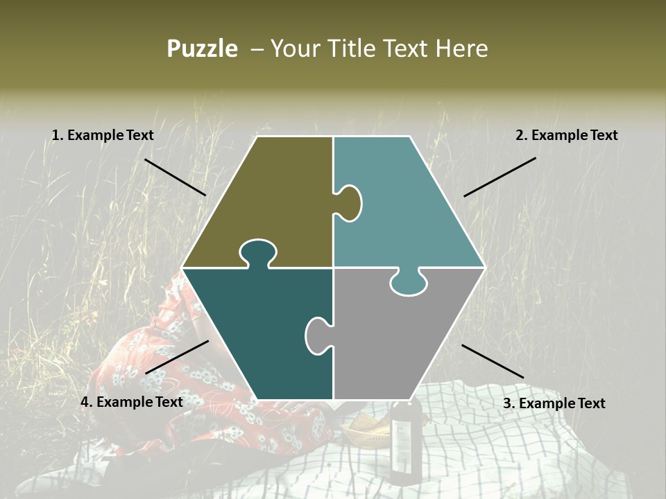 Moonlight Picnic PowerPoint Template