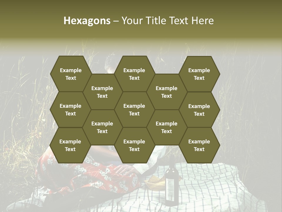 Moonlight Picnic PowerPoint Template