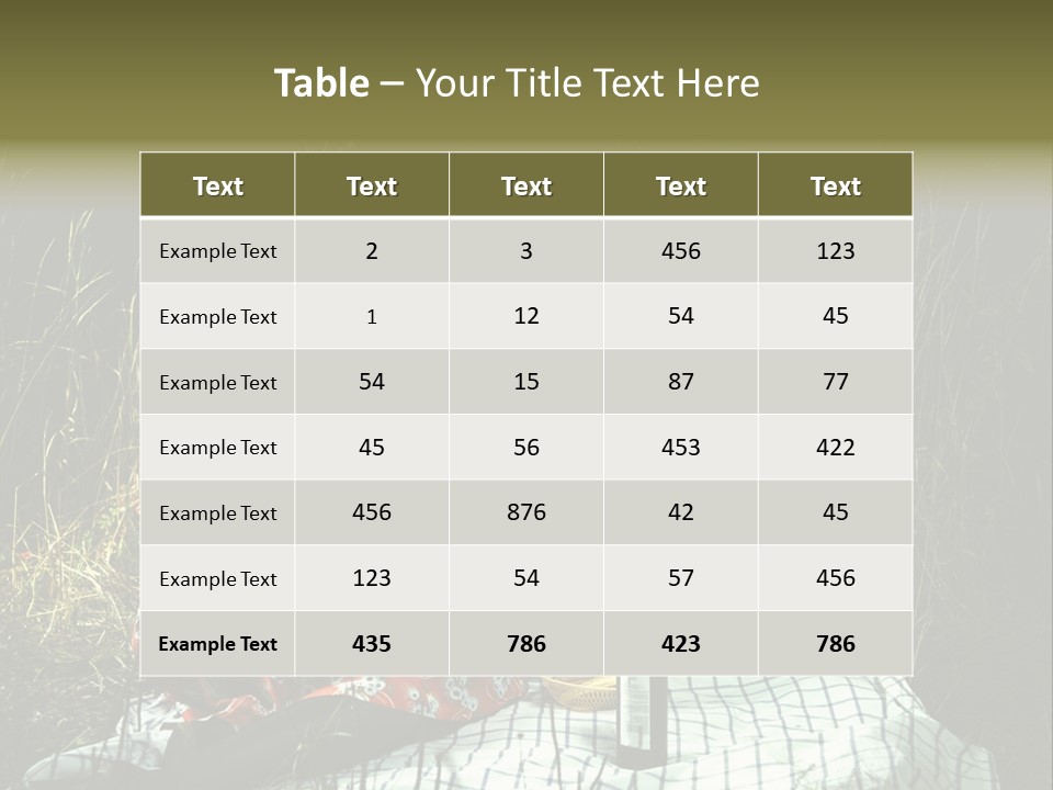 Moonlight Picnic PowerPoint Template