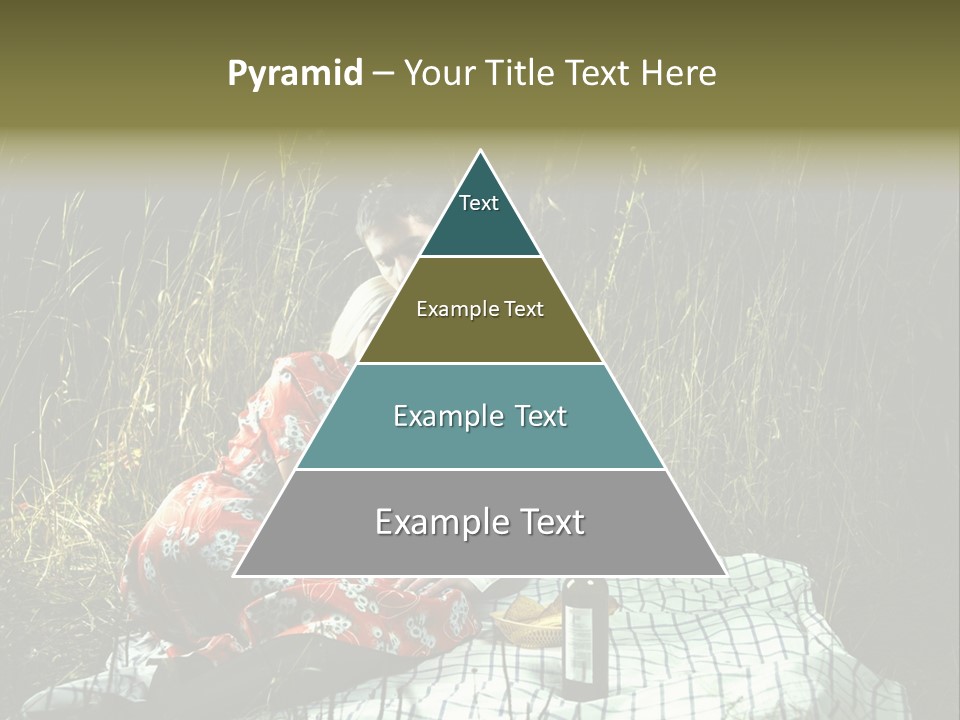 Moonlight Picnic PowerPoint Template