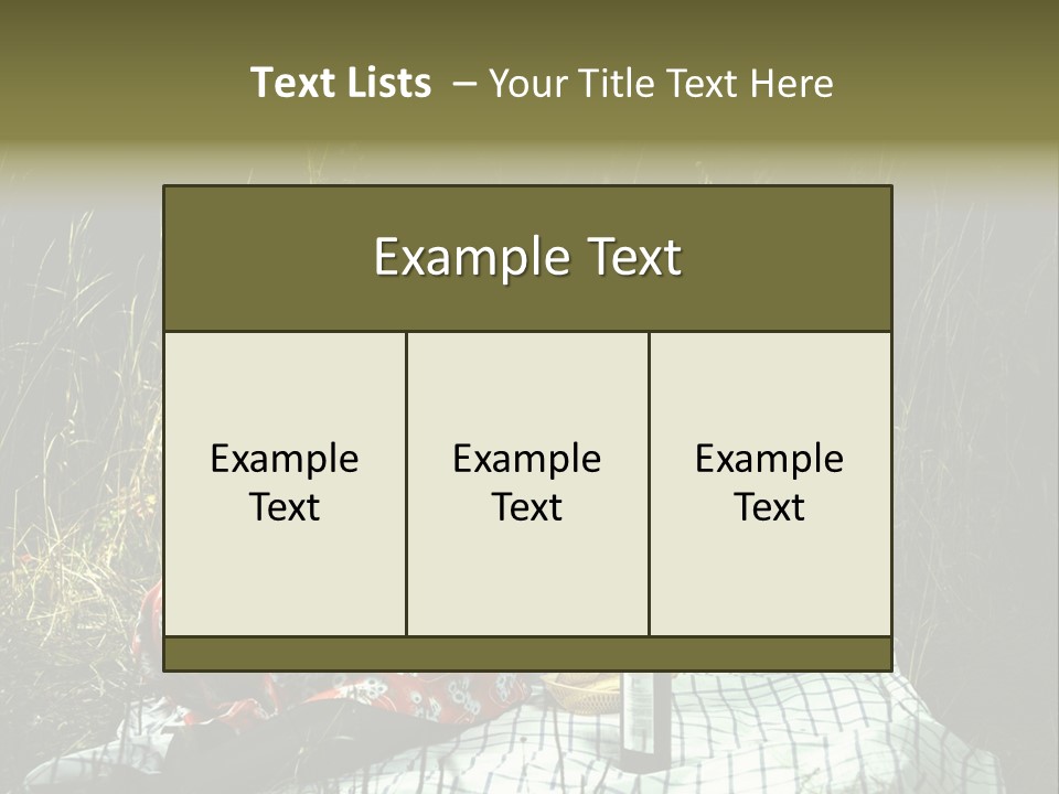 Moonlight Picnic PowerPoint Template