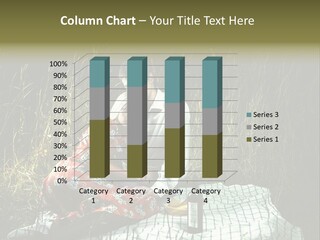 Moonlight Picnic PowerPoint Template