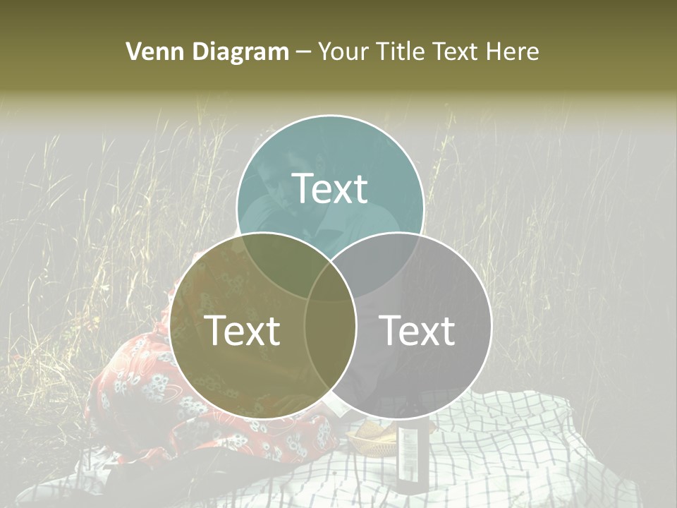 Moonlight Picnic PowerPoint Template