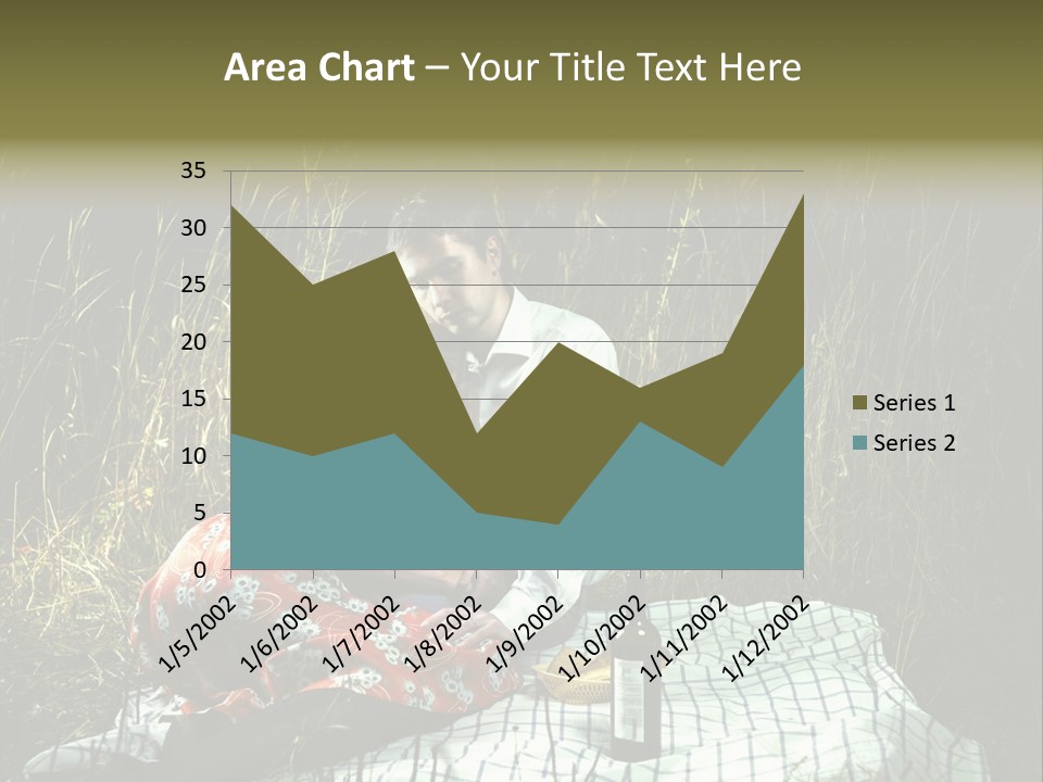 Moonlight Picnic PowerPoint Template