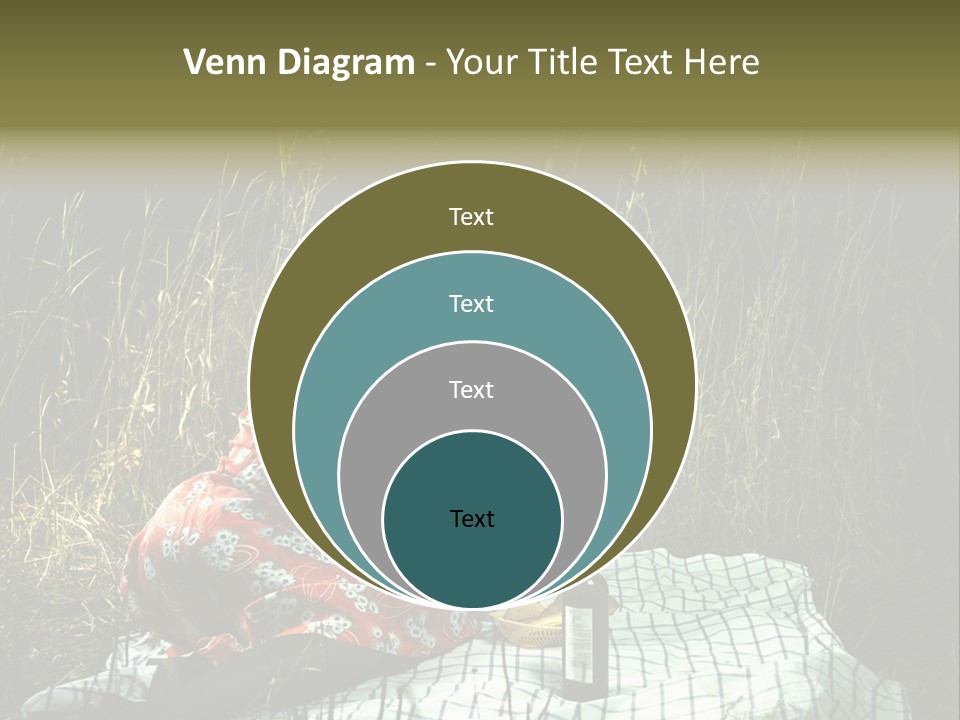 Moonlight Picnic PowerPoint Template