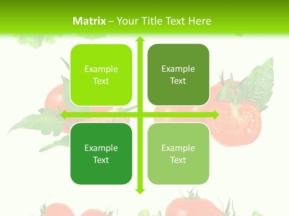 Lie Medulla Collage PowerPoint Template