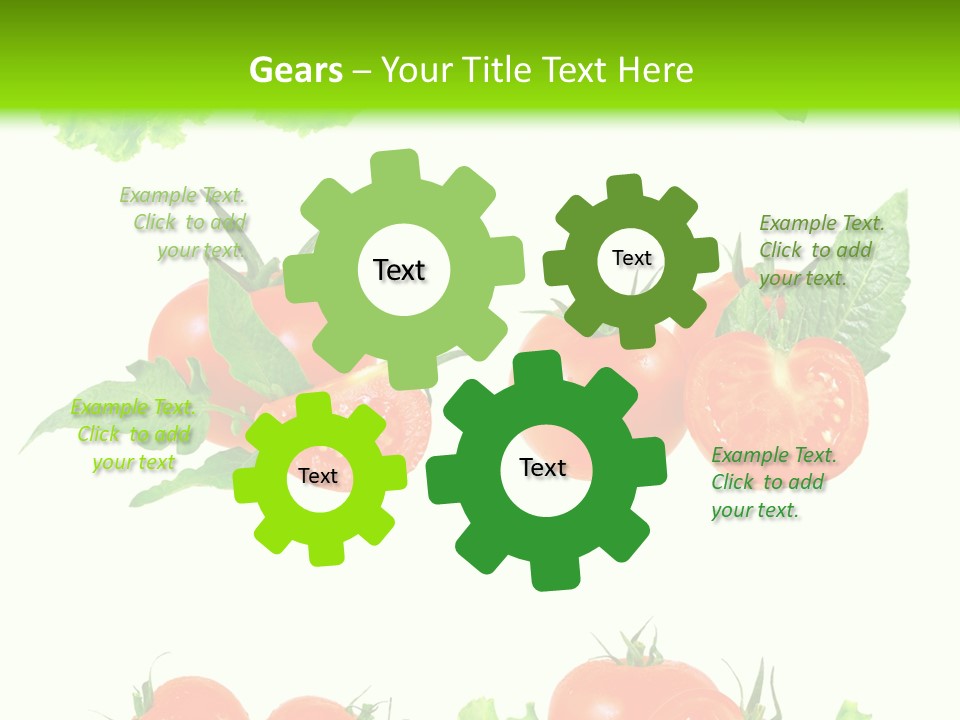 Lie Medulla Collage PowerPoint Template