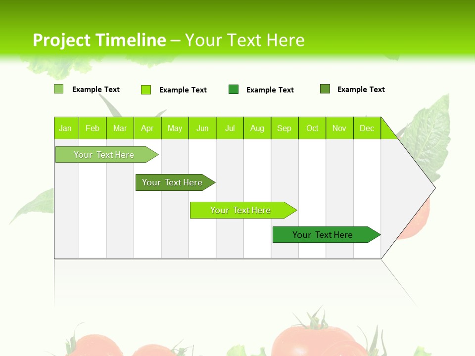 Lie Medulla Collage PowerPoint Template