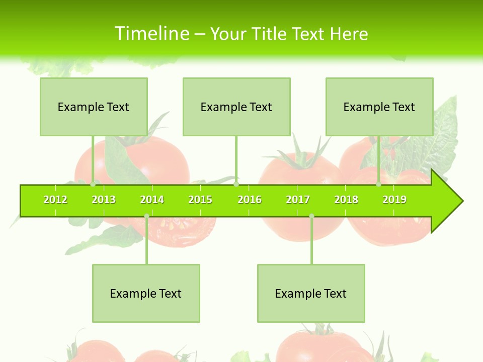 Lie Medulla Collage PowerPoint Template
