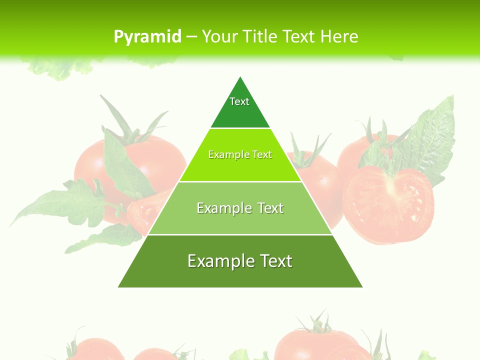 Lie Medulla Collage PowerPoint Template