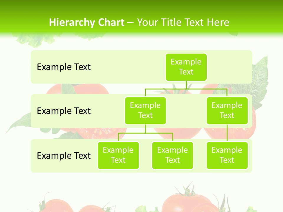 Lie Medulla Collage PowerPoint Template