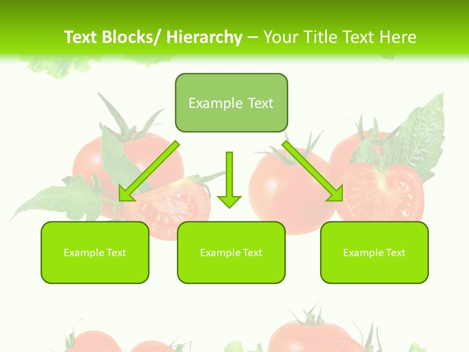 Lie Medulla Collage PowerPoint Template