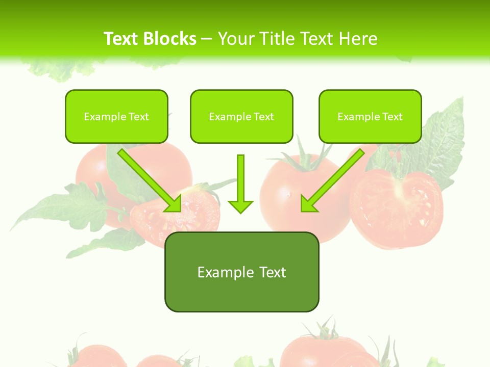Lie Medulla Collage PowerPoint Template