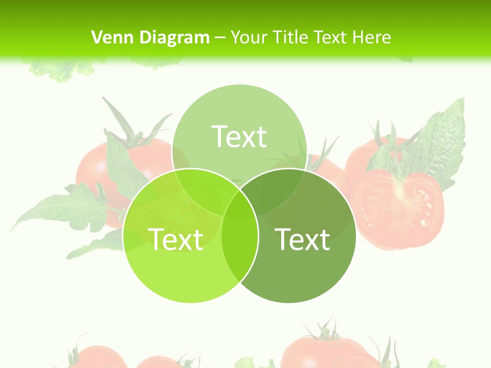 Lie Medulla Collage PowerPoint Template