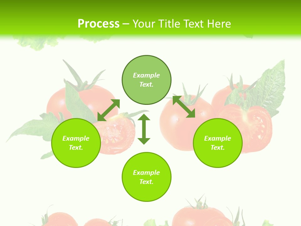 Lie Medulla Collage PowerPoint Template