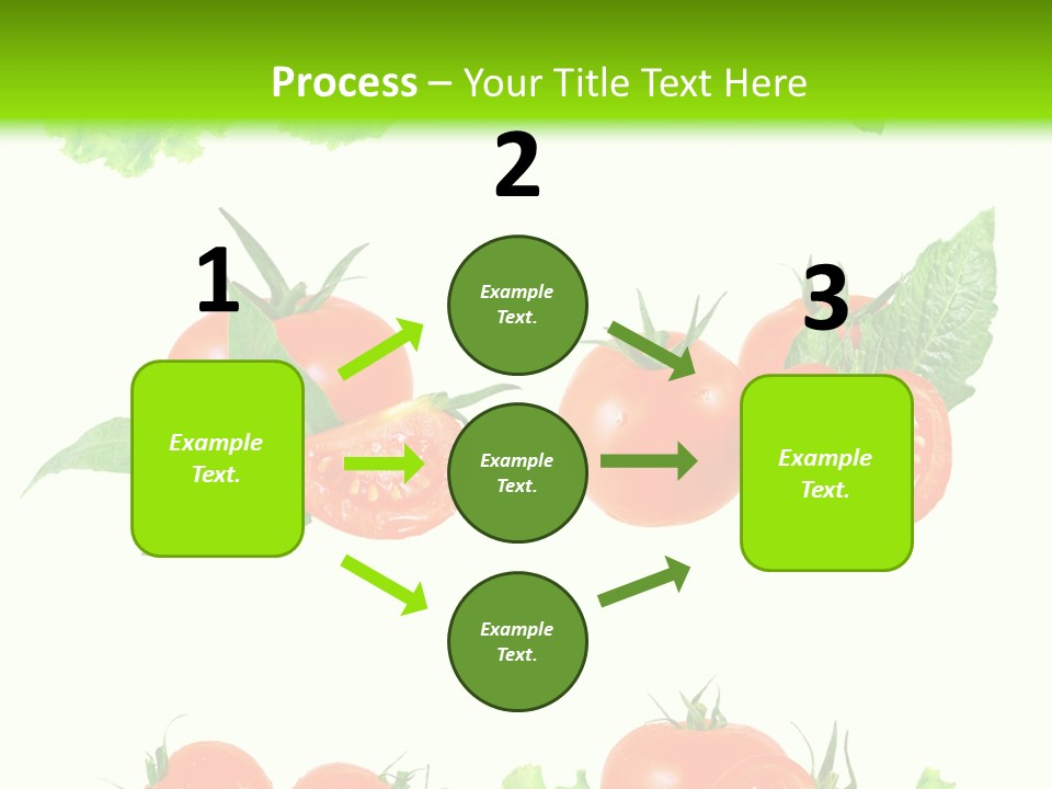 Lie Medulla Collage PowerPoint Template