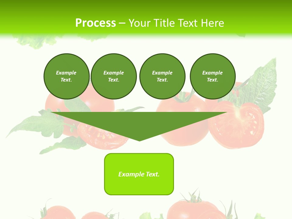 Lie Medulla Collage PowerPoint Template