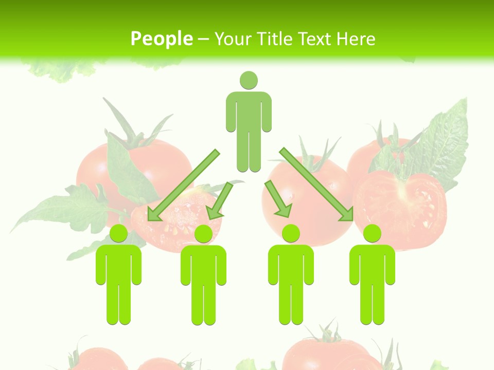 Lie Medulla Collage PowerPoint Template