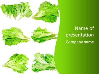 Lettuce Vector PowerPoint Template