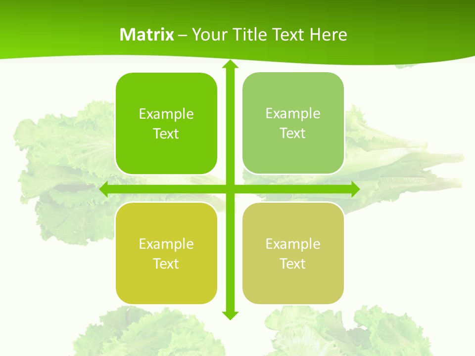 Lettuce Vector PowerPoint Template