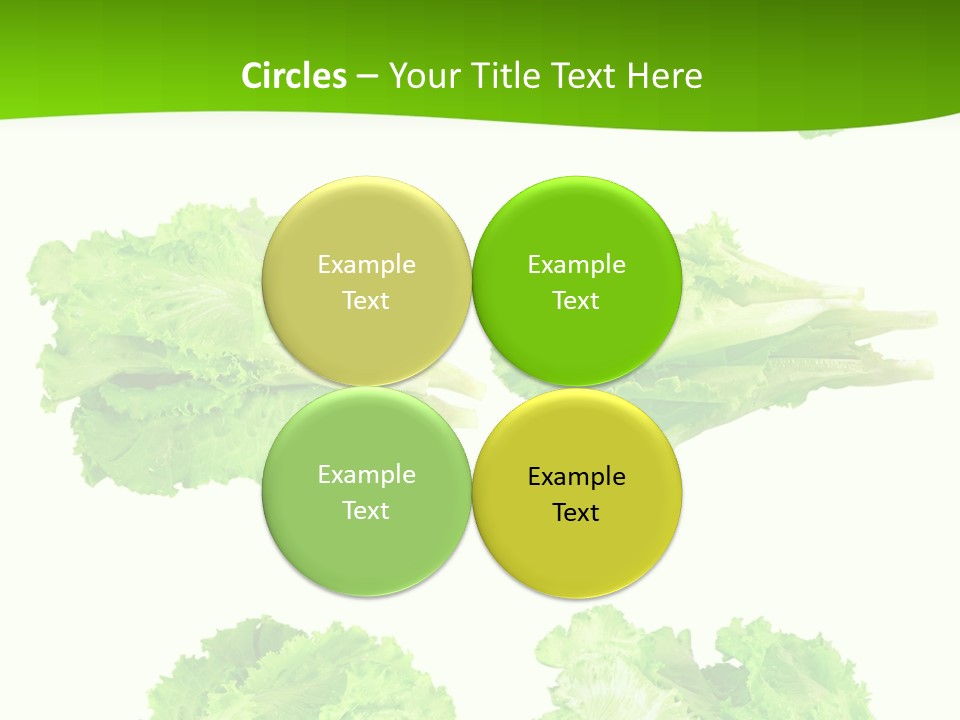 Lettuce Vector PowerPoint Template