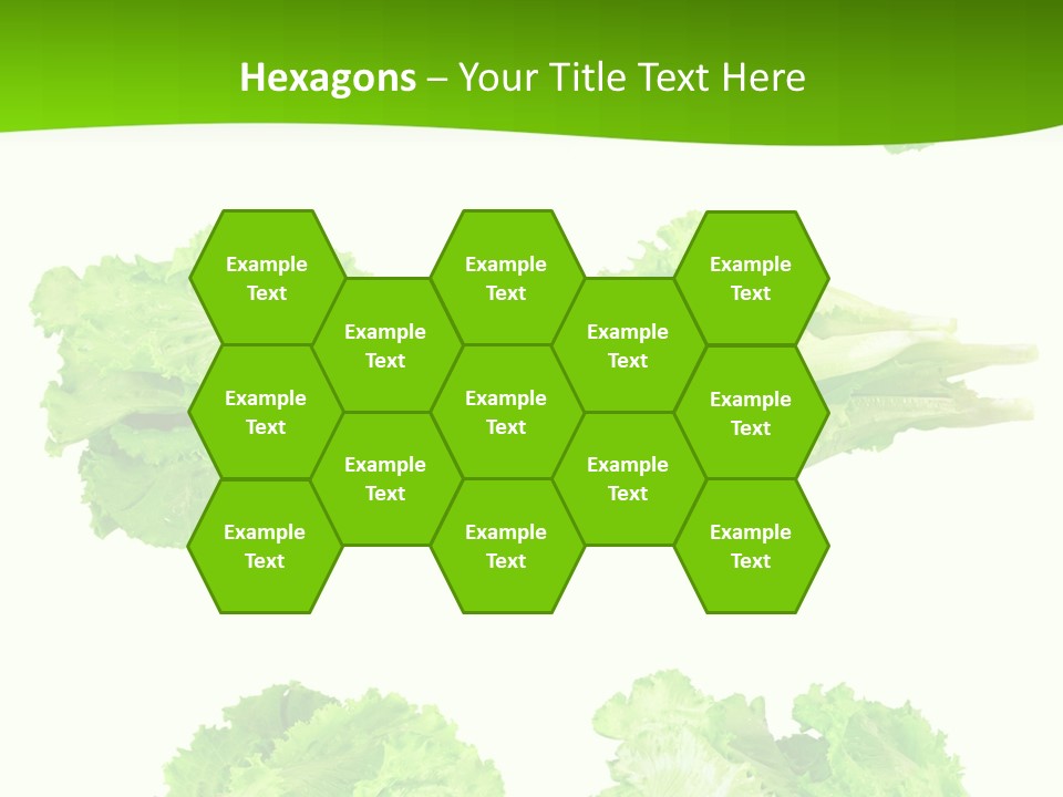 Lettuce Vector PowerPoint Template