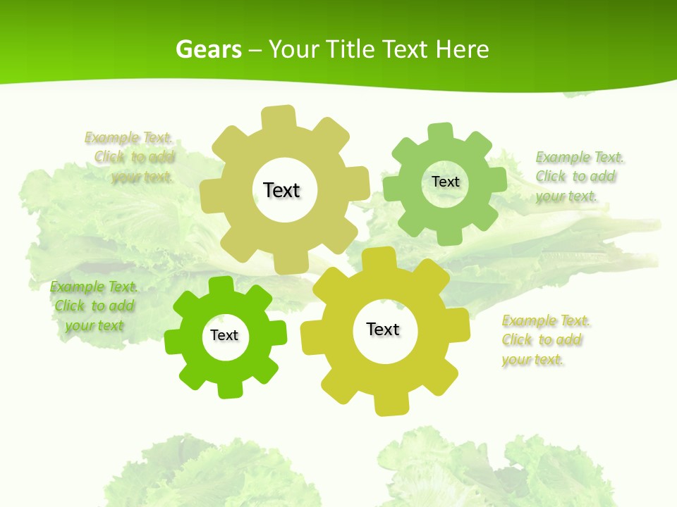 Lettuce Vector PowerPoint Template