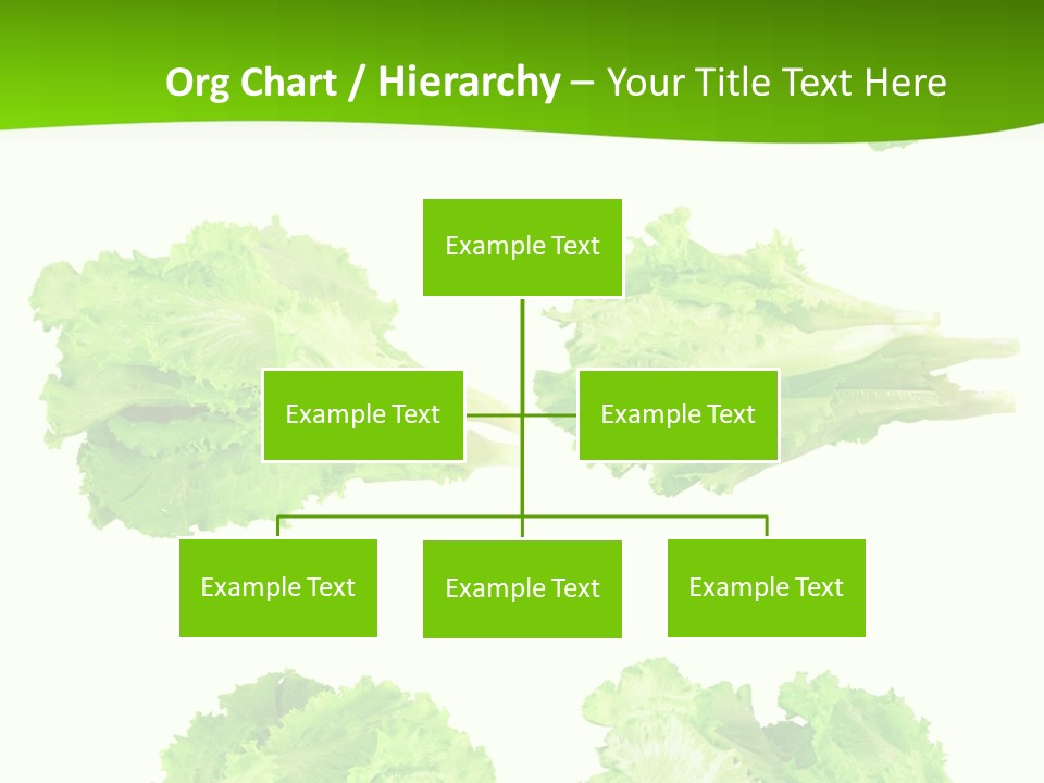Lettuce Vector PowerPoint Template