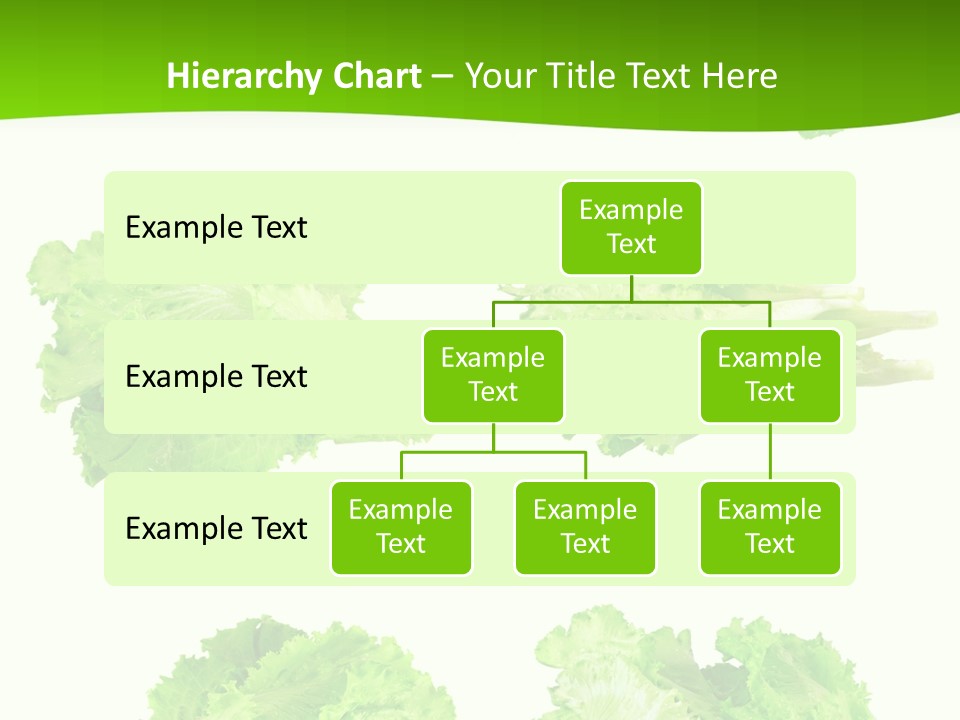 Lettuce Vector PowerPoint Template