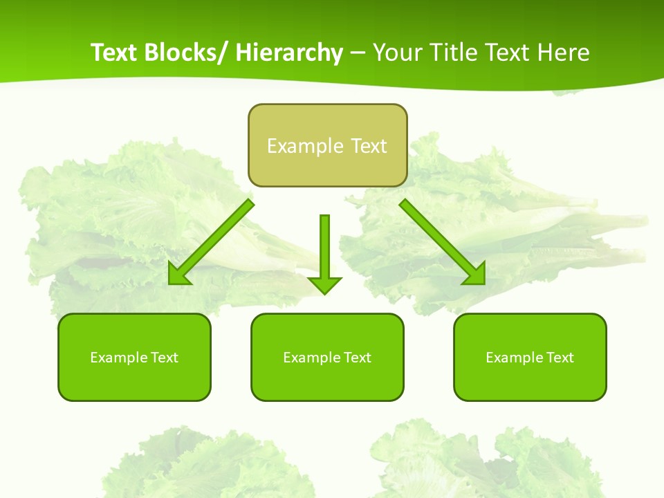 Lettuce Vector PowerPoint Template