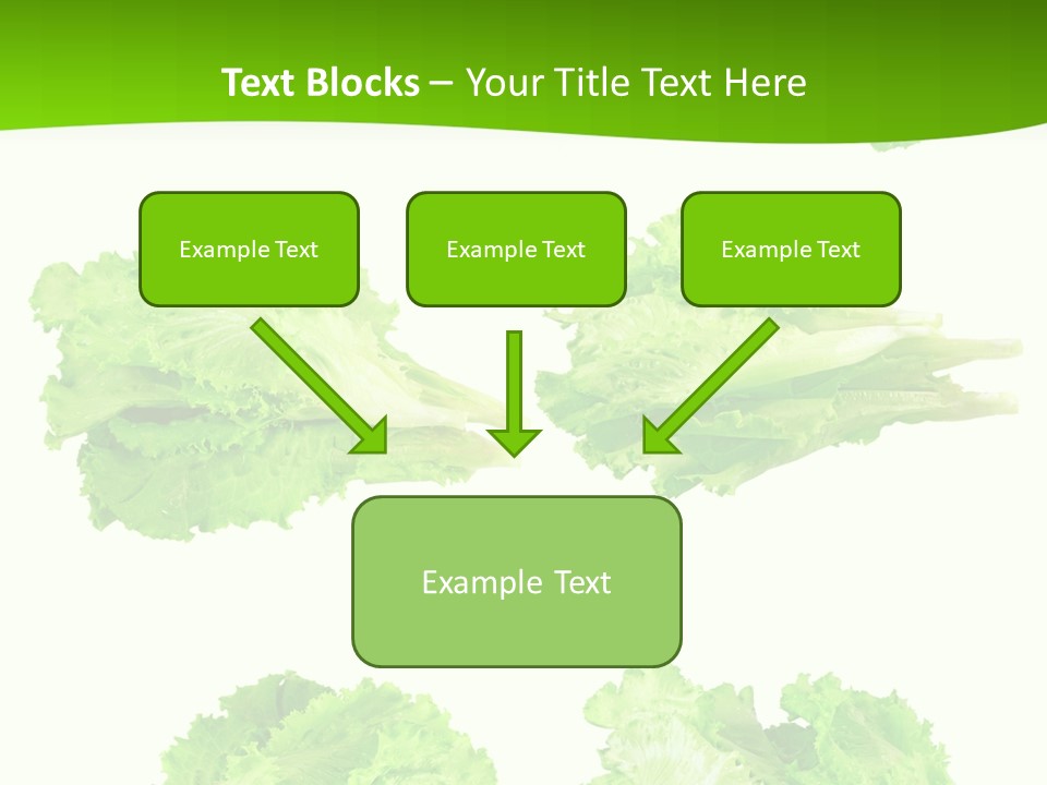 Lettuce Vector PowerPoint Template