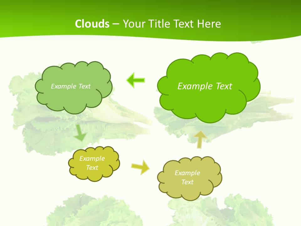 Lettuce Vector PowerPoint Template