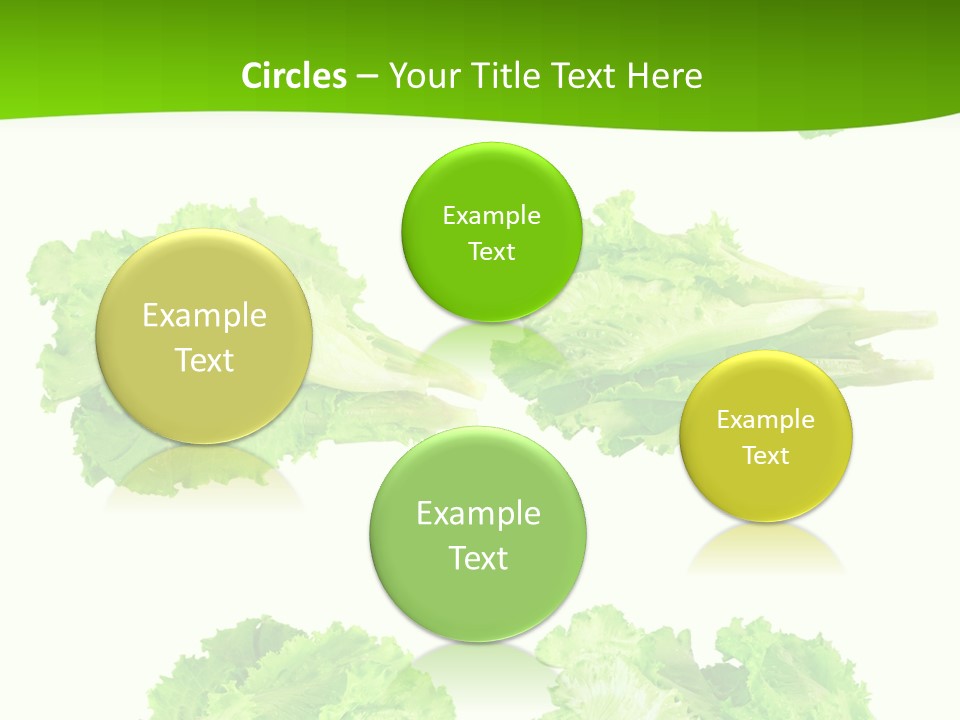 Lettuce Vector PowerPoint Template