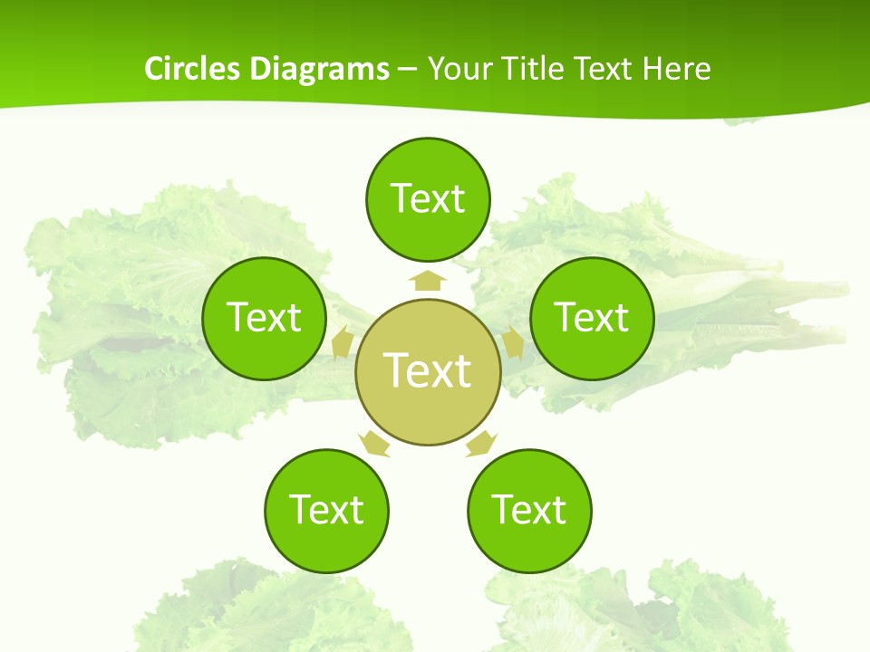 Lettuce Vector PowerPoint Template